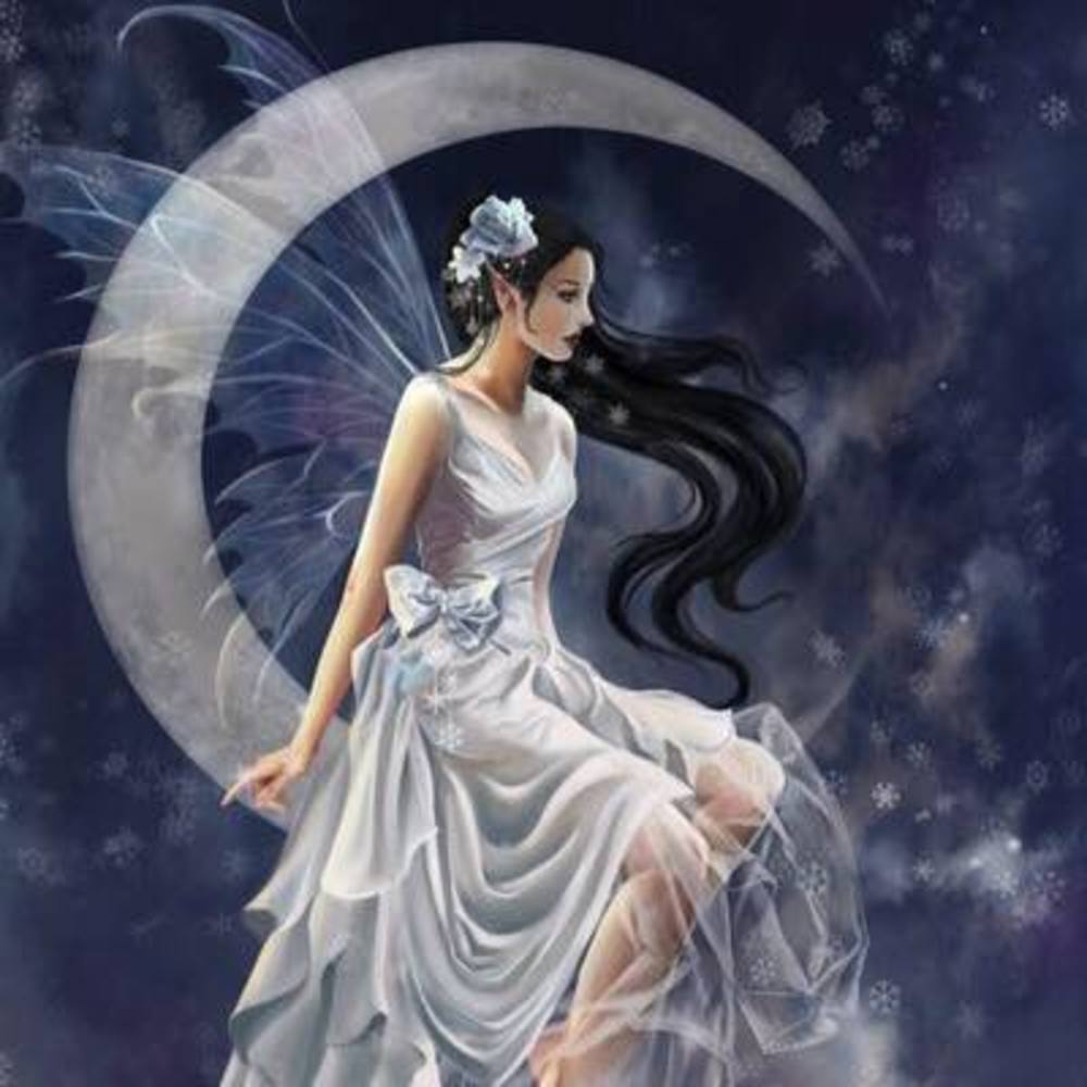 Meet your Posher, Mitra